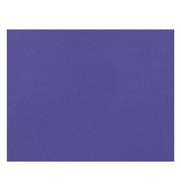 OAK TAG: 22x28,  PURPLE 100 SHEETS
