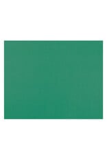 OAK TAG: 22x28,  GREEN 100 SHEETS