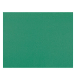 OAK TAG: 22x28,  GREEN 100 SHEETS