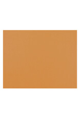 OAK TAG: 22x28,  ORANGE 100 SHEETS