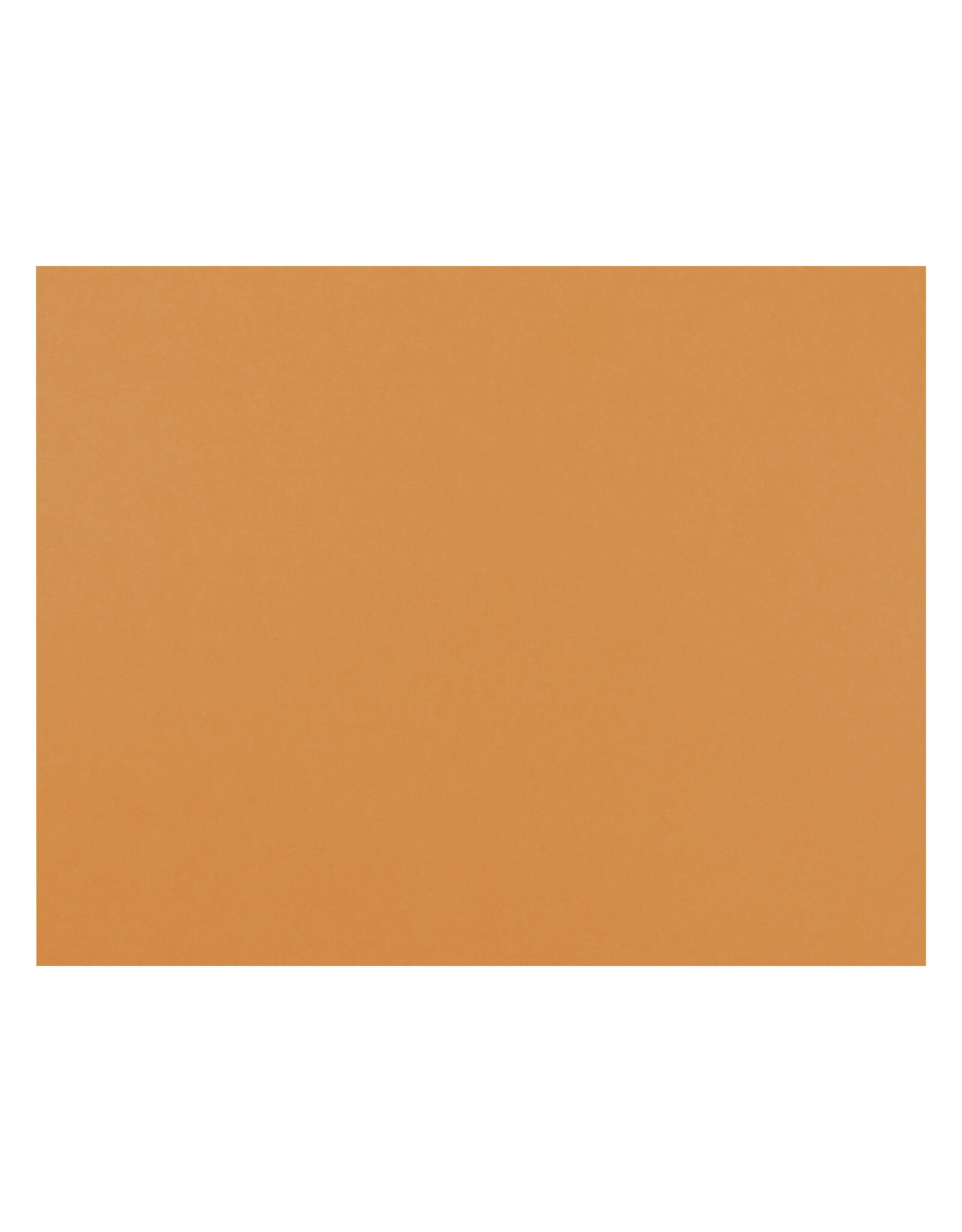 OAK TAG: 22x28,  ORANGE 100 SHEETS