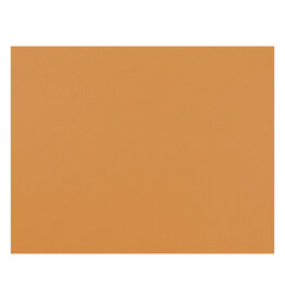 OAK TAG: 22x28,  ORANGE 100 SHEETS