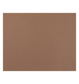 OAK TAG: 22x28,  BROWN 100 SHEETS