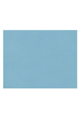 OAK TAG: 22x28,  LIGHT BLUE 100 SHEETS