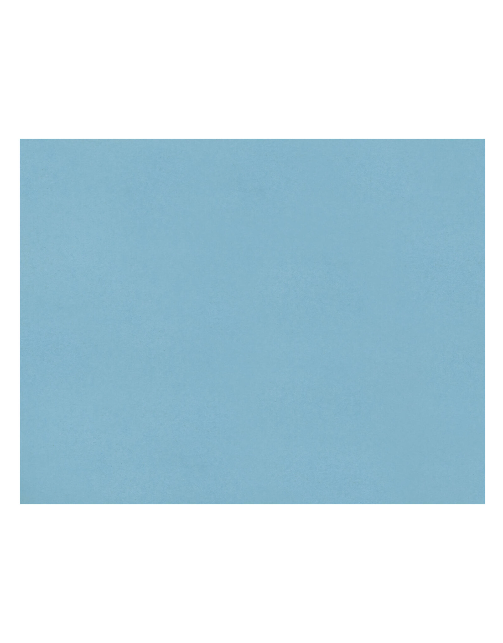OAK TAG: 22x28,  LIGHT BLUE 100 SHEETS