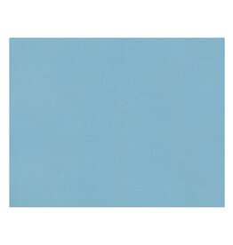 OAK TAG: 22x28,  LIGHT BLUE 100 SHEETS
