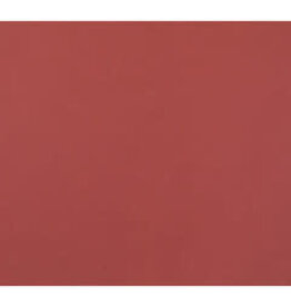 OAK TAG  22x28,   RED 100 SHEETS
