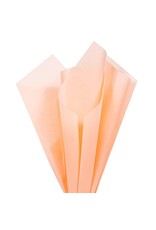 TISSUE PAPER: 20"X26" PEACH 10 SHEET