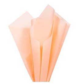 TISSUE PAPER: 20"X26" PEACH 10 SHEET