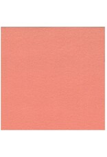 FELT - 9X12 - CORAL