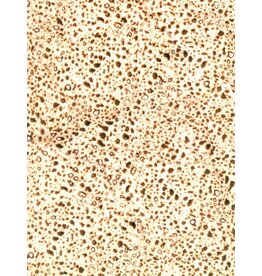 MATZAH PAPER 10" X 14"  36 SHEETS
