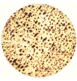 CUT-OUTS: MATZAH ROUND 9" 20 PACK