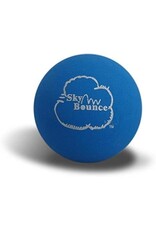 BLUE PUNCH BALL - SKY BOUNCE