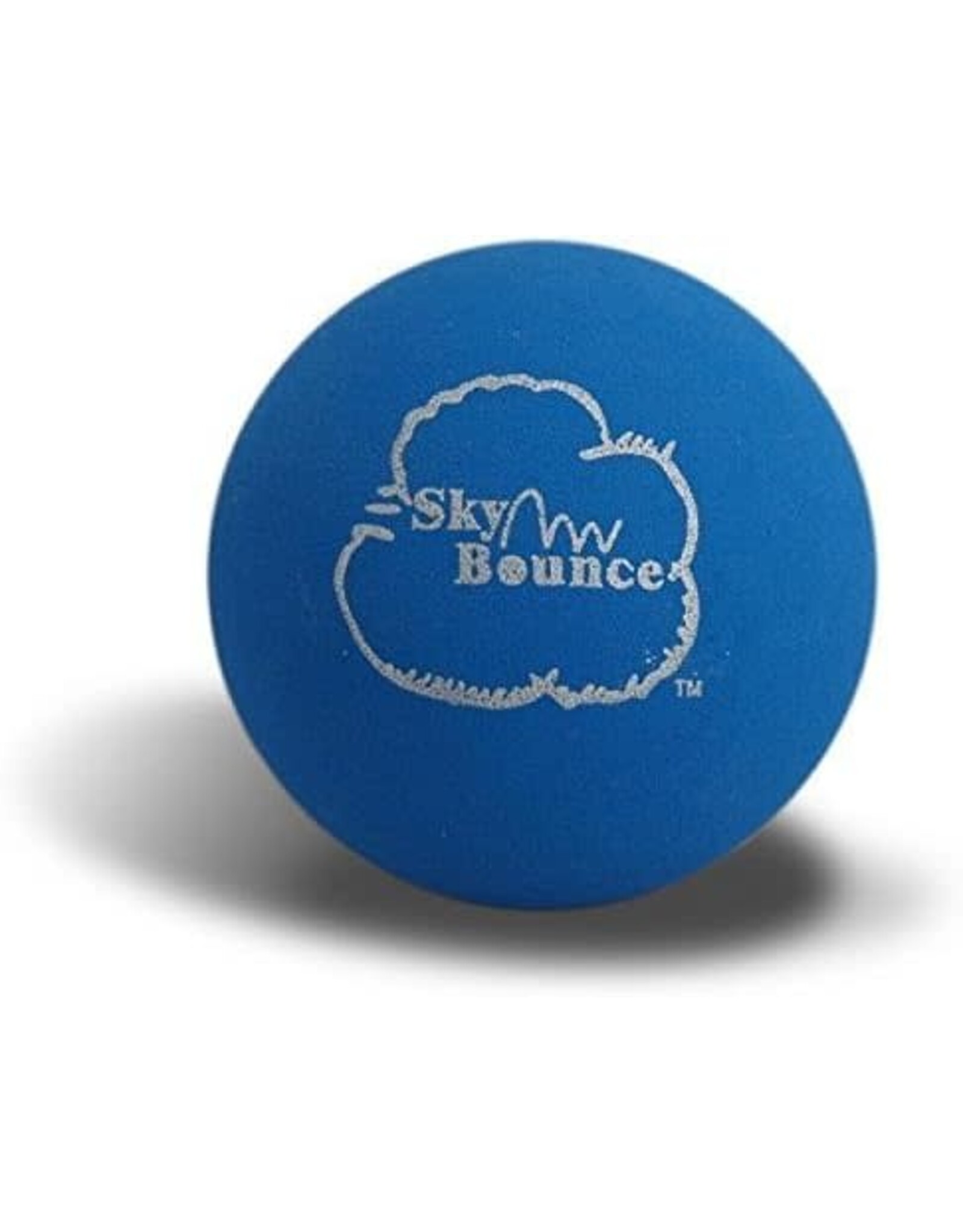 BLUE PUNCH BALL - SKY BOUNCE