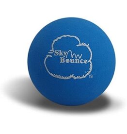 BLUE PUNCH BALL - SKY BOUNCE