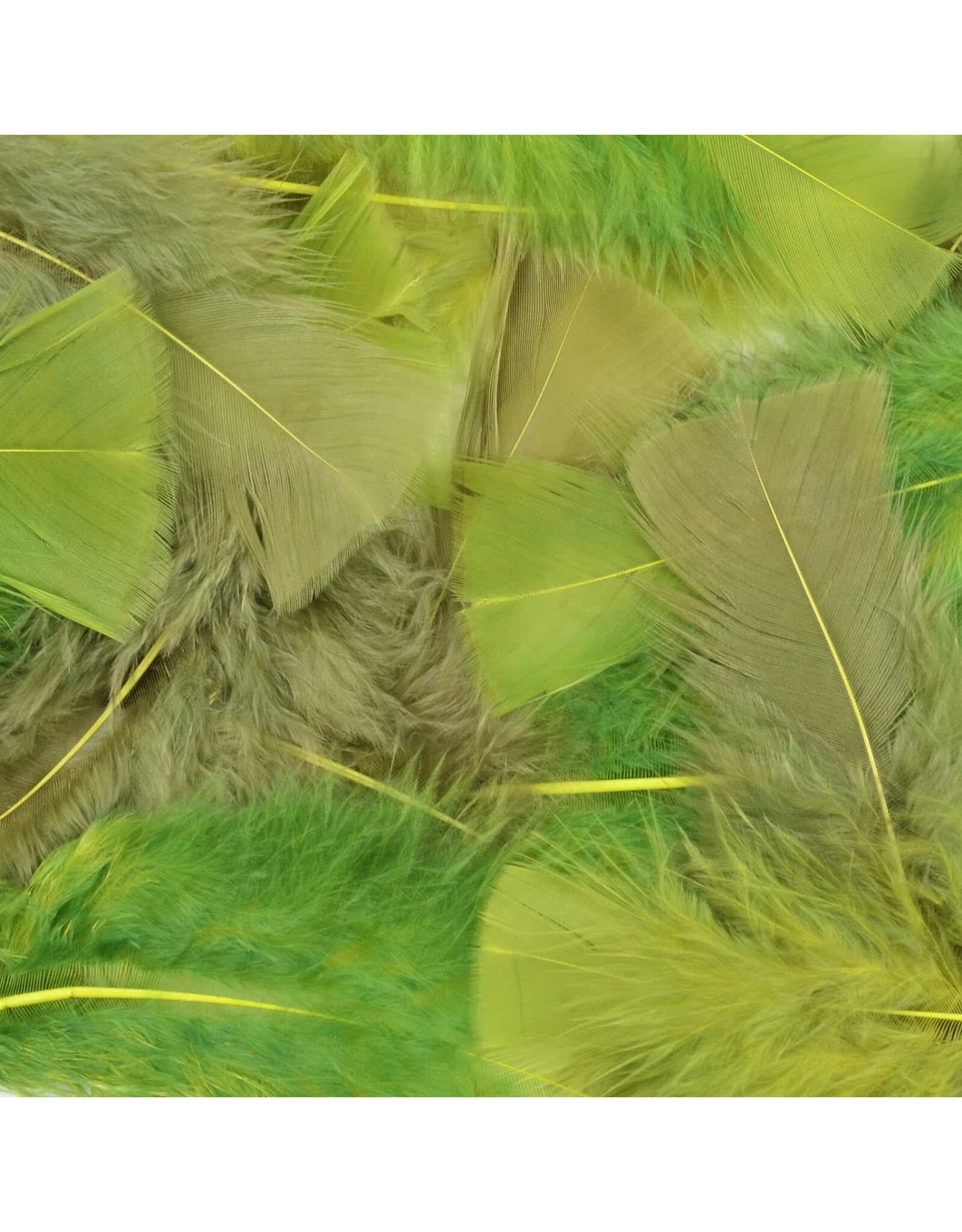 FEATHERS: GREEN MIX 14 GRAMS