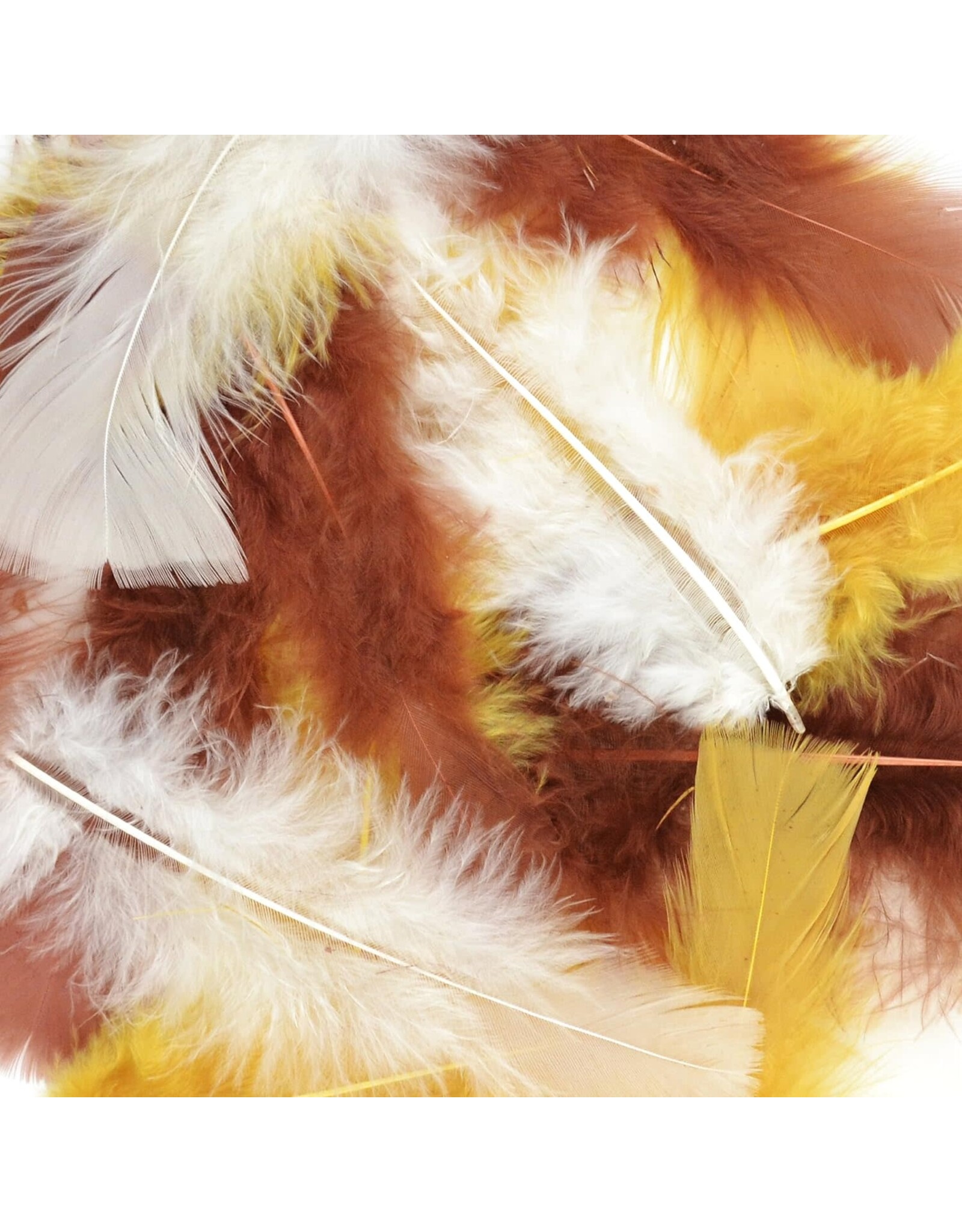 FEATHERS: EARTH MIX  14 GRAMS