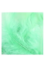 FEATHERS: MINT GREEN 14 GRAMS