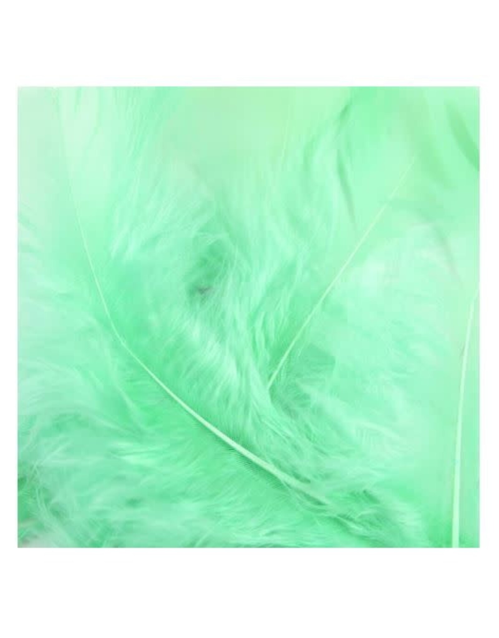 FEATHERS: MINT GREEN 14 GRAMS