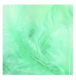 FEATHERS: MINT GREEN 14 GRAMS