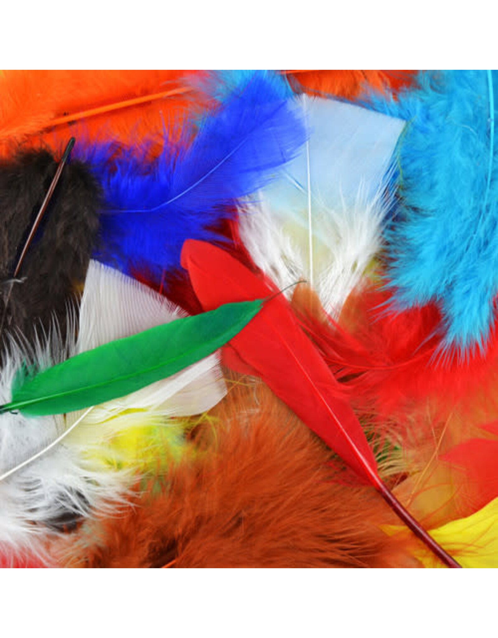 FEATHERS: BRIGHT ASSORTED  71 GRAMS