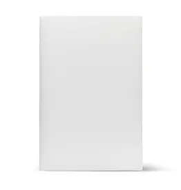 STYROFOAM BOARD: 10"X4"X1" - WHITE