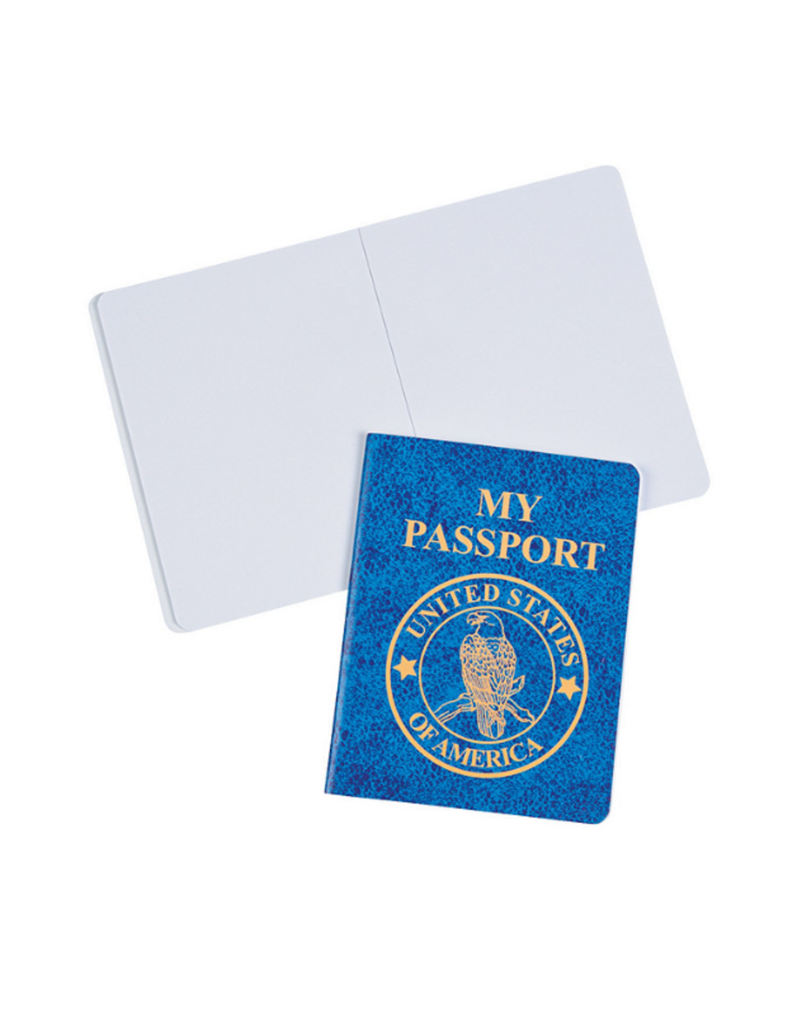 PASSPORT NOTEBOOKS  24/books