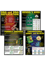 BULLETIN BOARD SET DNA & HEREDITY