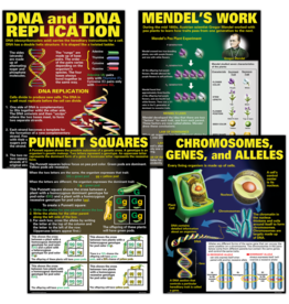 BULLETIN BOARD SET DNA & HEREDITY