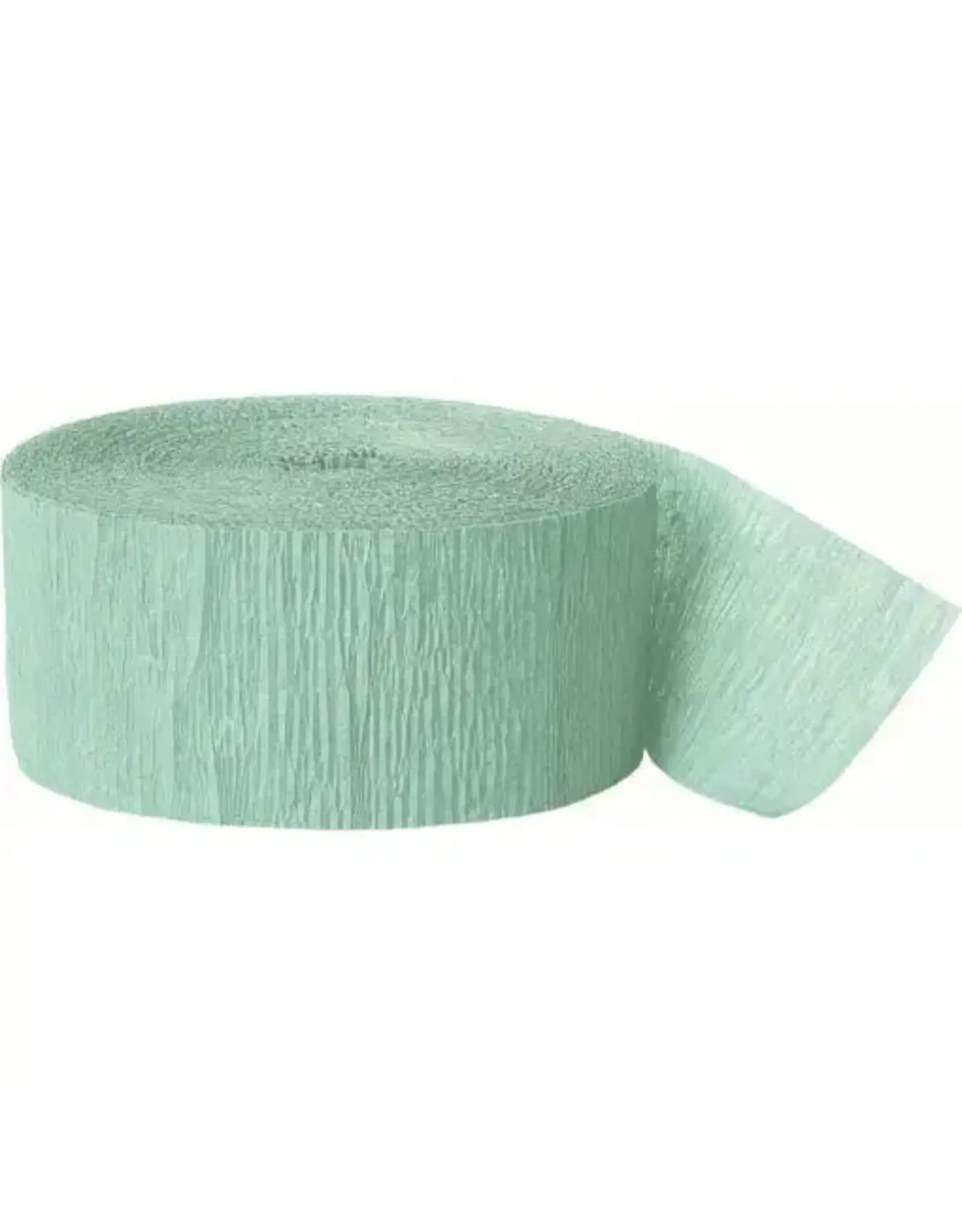 Unique STREAMER: MINT GREEN  81 FEET