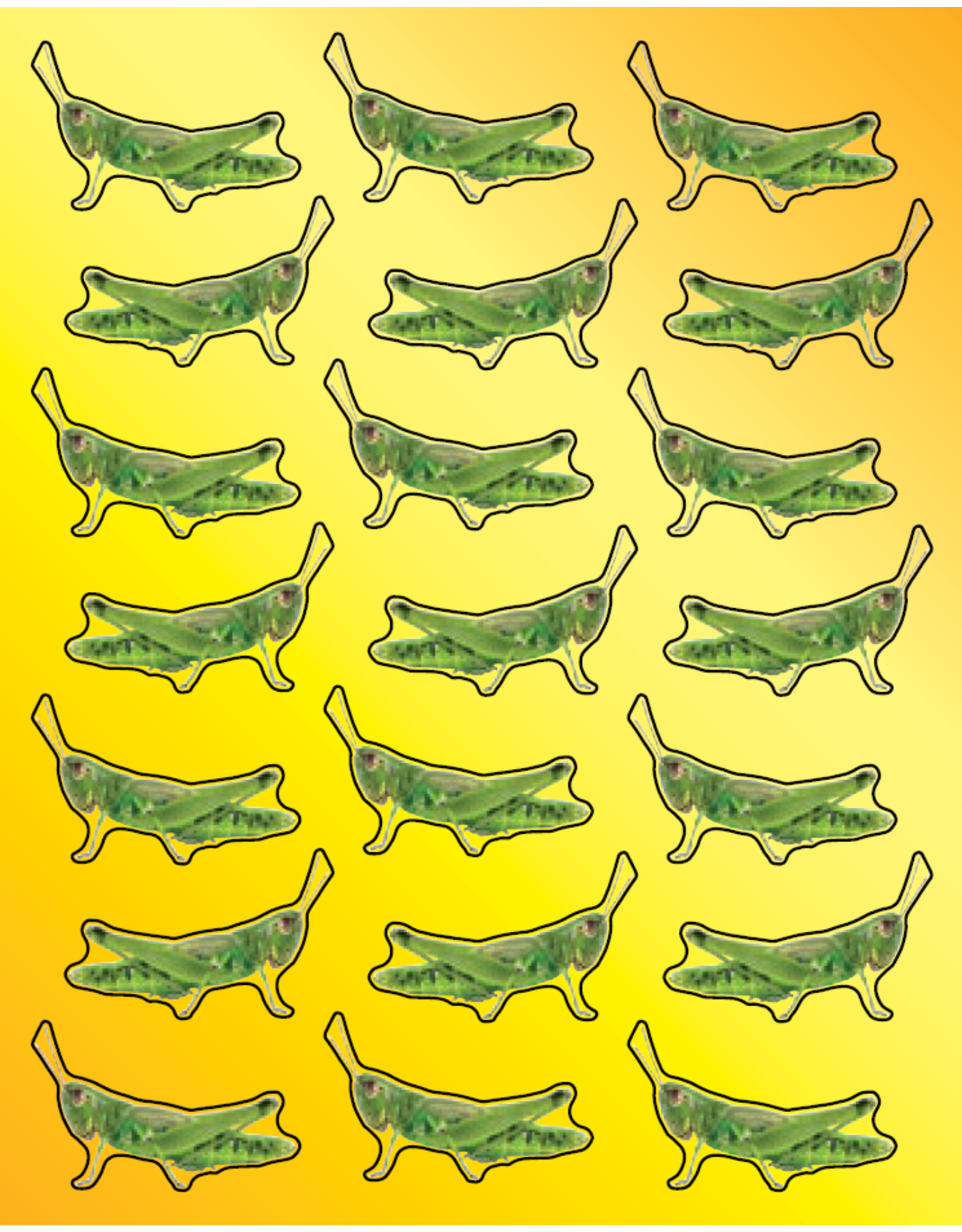 STICKERS: GRASSHOPPER REALISTIC 6 SHEETS