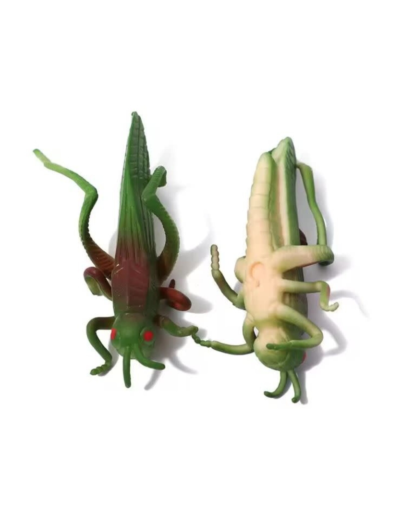 REALISTIC TOY GRASSHOPPER  4"