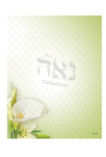 DESIGN PAPER NOTES:  GREEN LILY 3X4  50 SHEETS