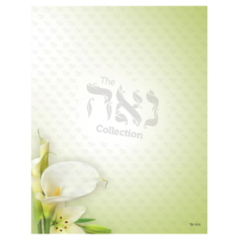 DESIGN PAPER NOTES:  GREEN LILY 3X4  50 SHEETS