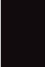 FOAM BOARD: 20"x30", BLACK