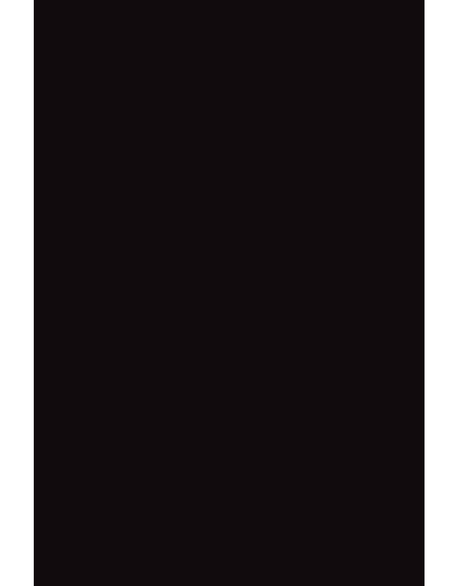 FOAM BOARD: 20"x30", BLACK