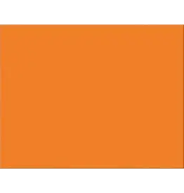 OAK TAG: 22x28,  ORANGE 50 SHEETS