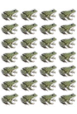 RANENU STICKERS: REALISTIC  FROG - 6 SHEETS