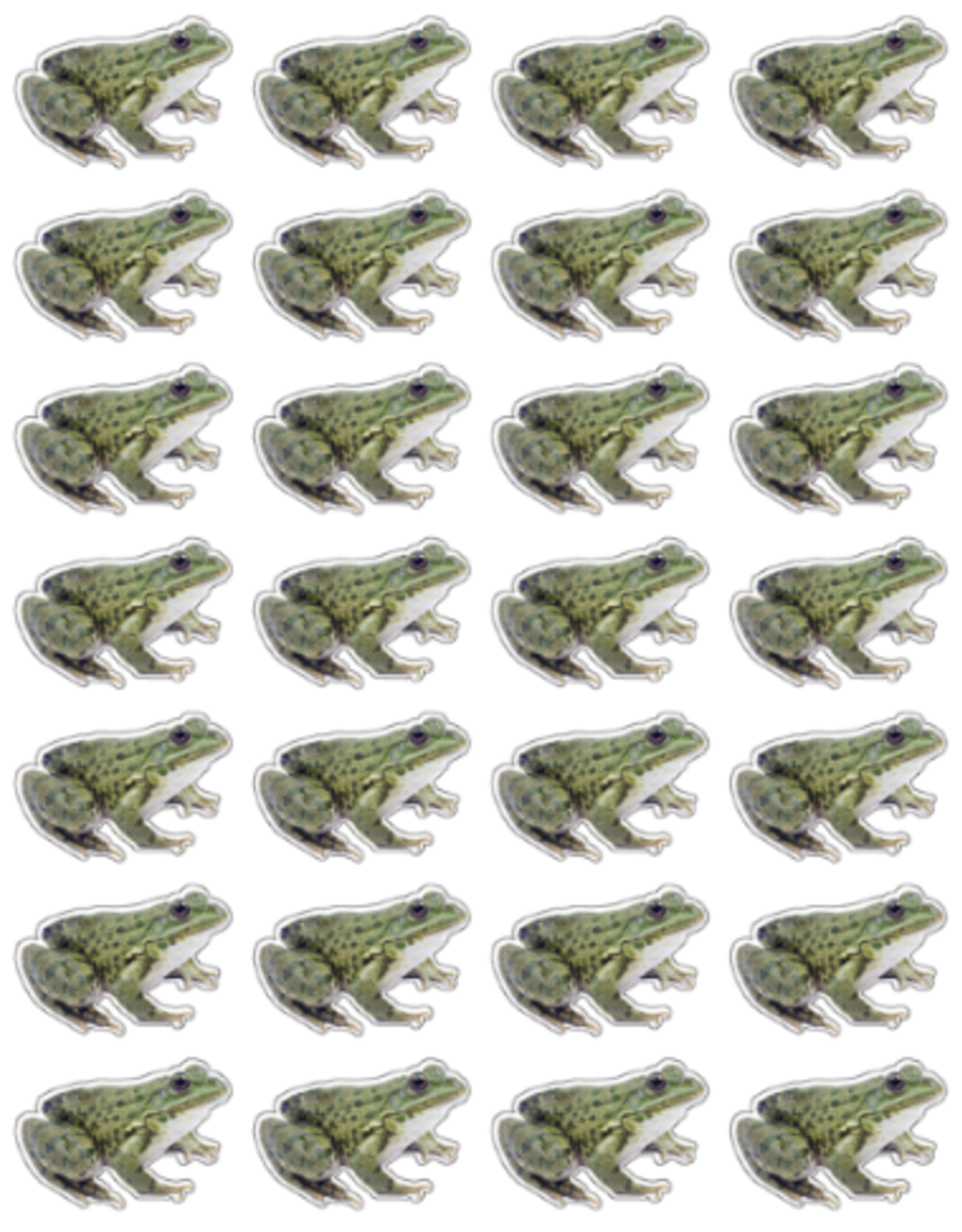 RANENU STICKERS: REALISTIC  FROG - 6 SHEETS