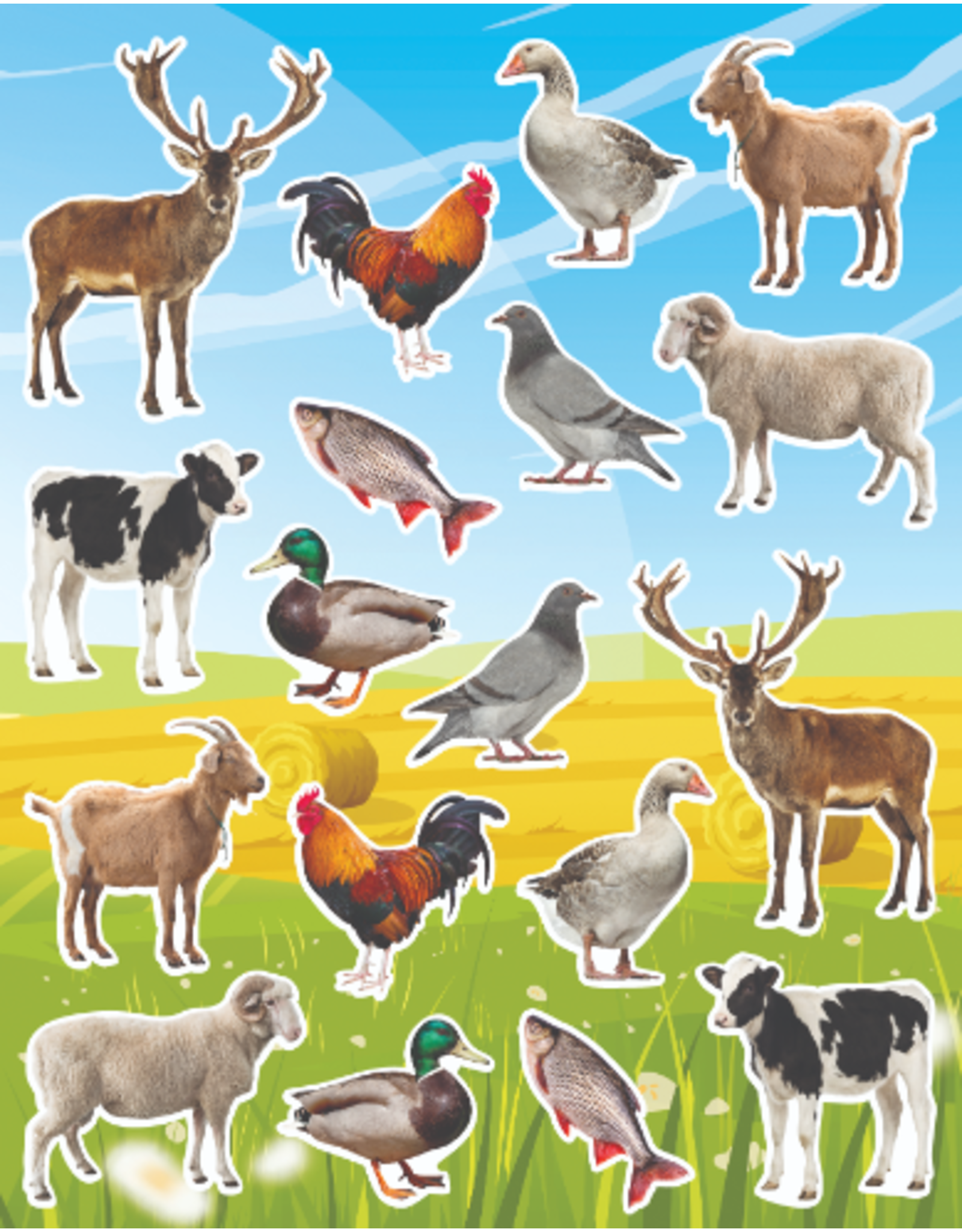 RANENU STICKERS: KOSHER ANIMALS - 6 SHEETS