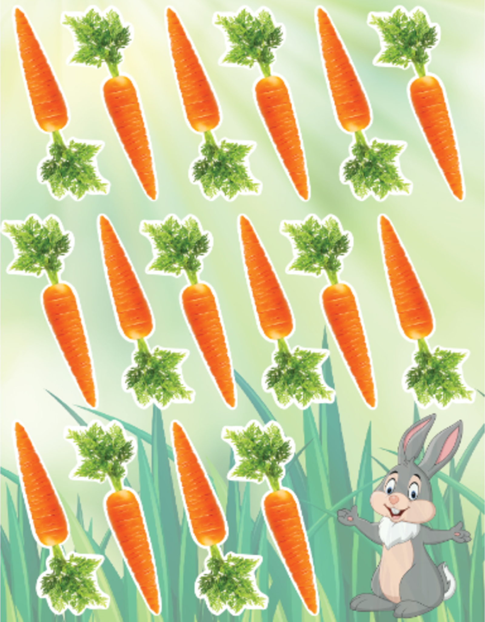 RANENU STICKERS CARROTS 6 SHEETS