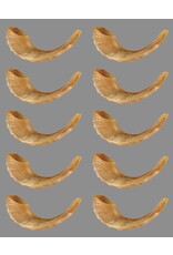 RANENU STICKER: SHOFAR 2"X1" - 6 SHEETS