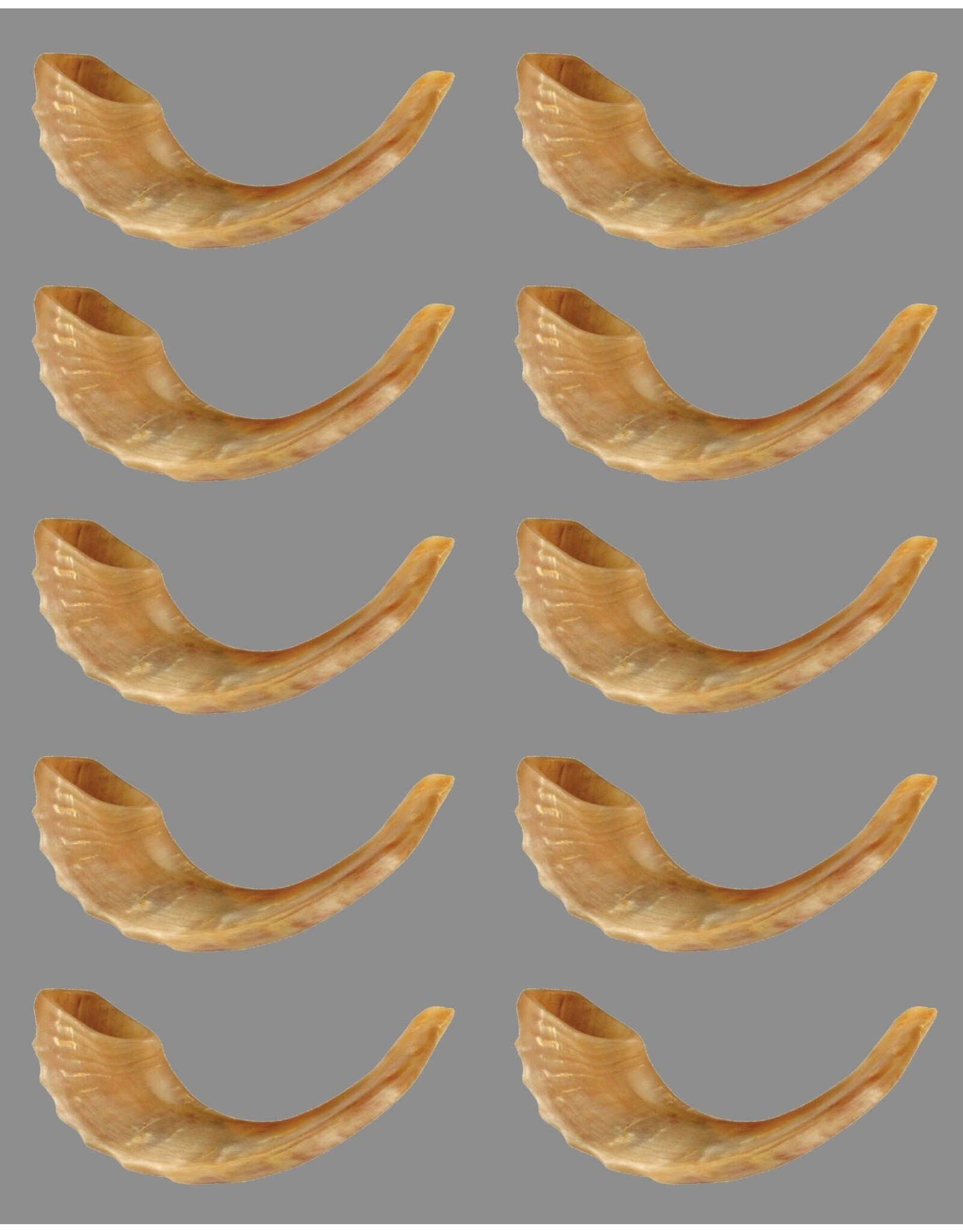 RANENU STICKER: SHOFAR 2"X1" - 6 SHEETS