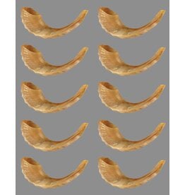 RANENU STICKER: SHOFAR 2"X1" - 6 SHEETS