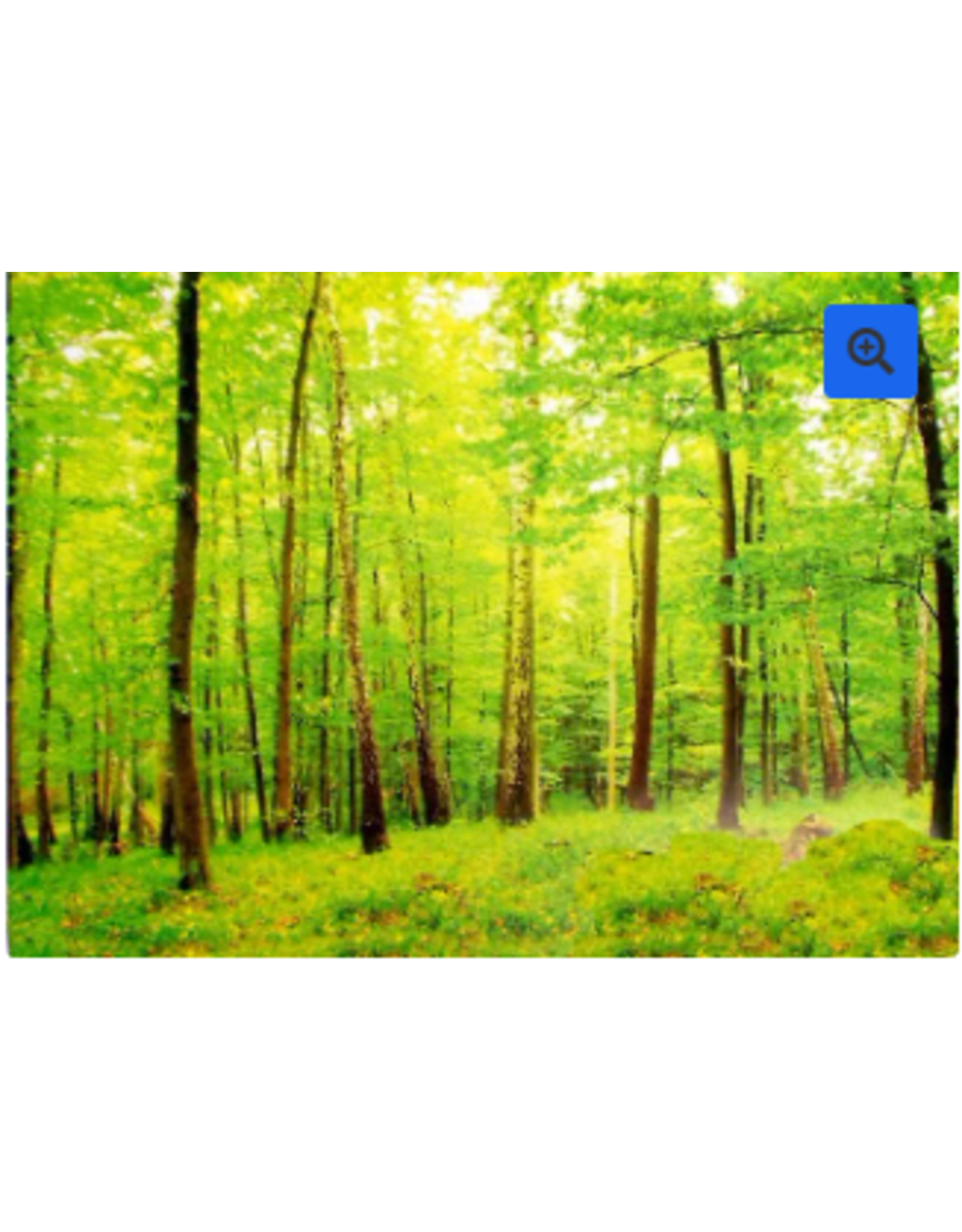 PICTURE OAK TAG FOREST BACKGROUND 22"X28"