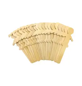 Teacher Created Resources STEM BASICS PEOPLE SHAPED CRAFT STICKS 50 PACK