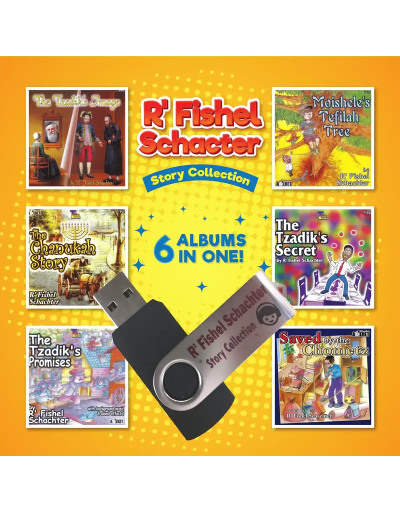 R' FISHEL SCHACHTER COLLECTION USB