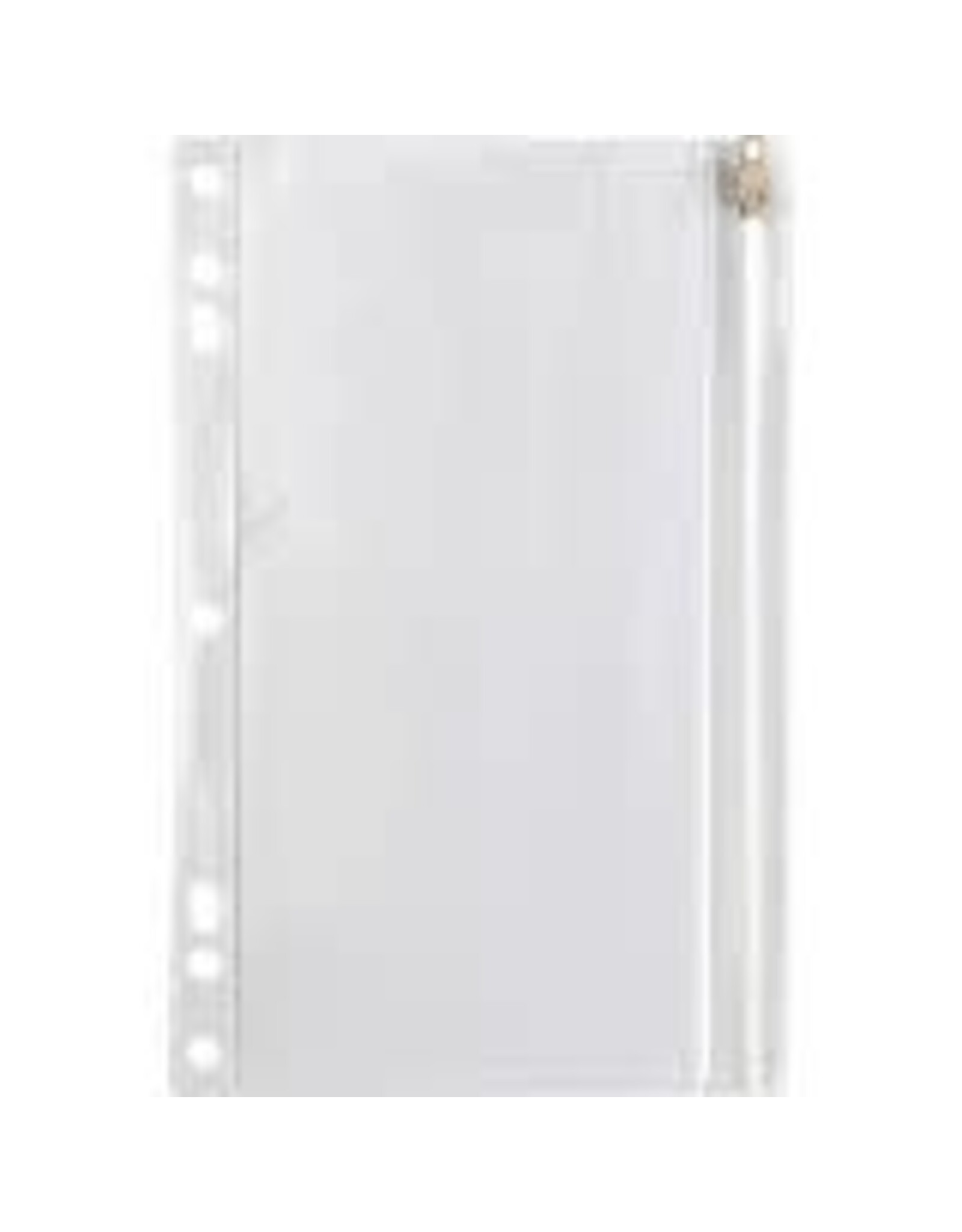 BUSINESS SOURCE CLEAR BINDER POUCH