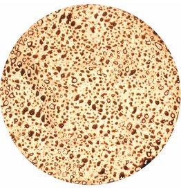 CUT-OUTS: MATZAH ROUND 7" 20 PACK