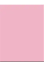 OAK TAG: 22x28,  PINK 25 SHEETS